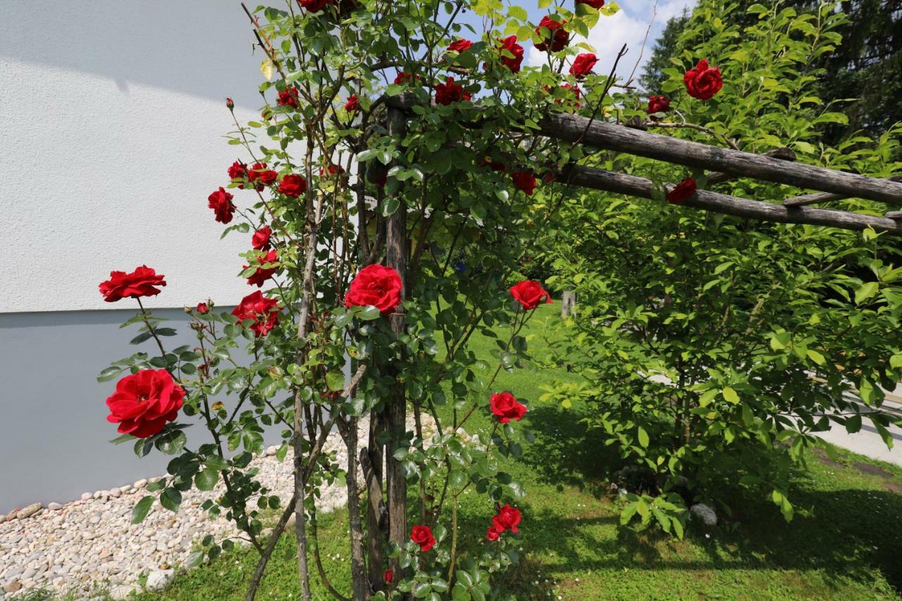 Adventure Cottage With Pool And Big Garden Блед Екстериор снимка